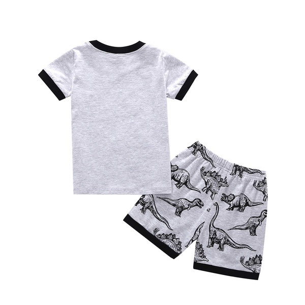 2-piece Baby / Toddler Boy Trendy Dinosaur Print Trendy and Shorts Set
