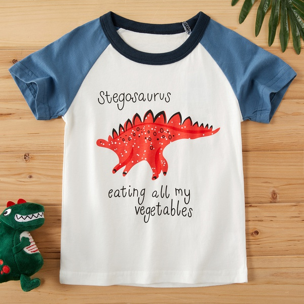 Baby / Toddler Boy Adorable Dino Print Tee