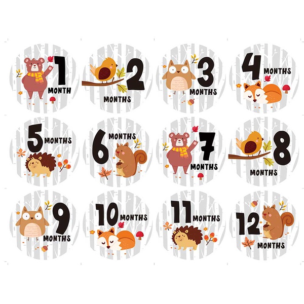12-pack Resuable Waterproof Animal Print Baby Monthly Milestone Stickers
