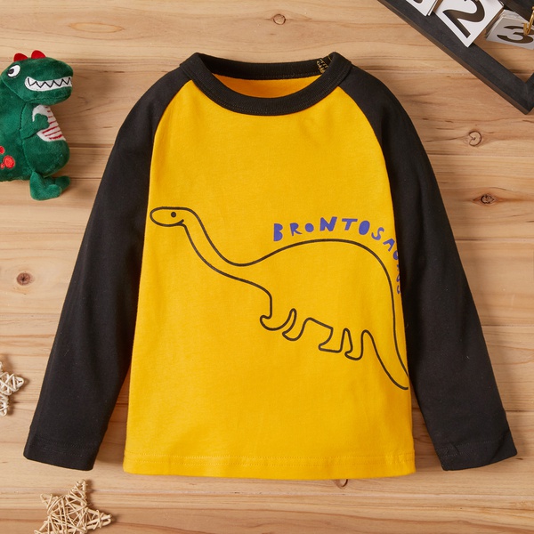 Baby Boy Dinosaur Tee