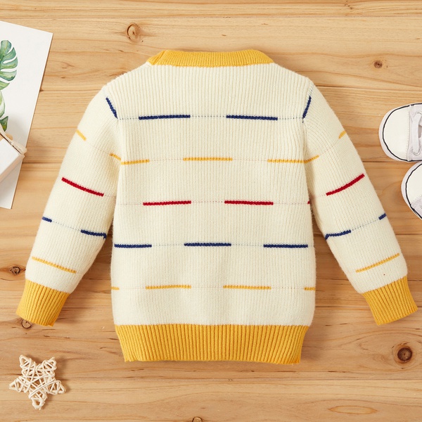 Baby Unisex Casual Sweaters