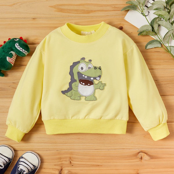 Baby Unisex Dinosaur Pullovers