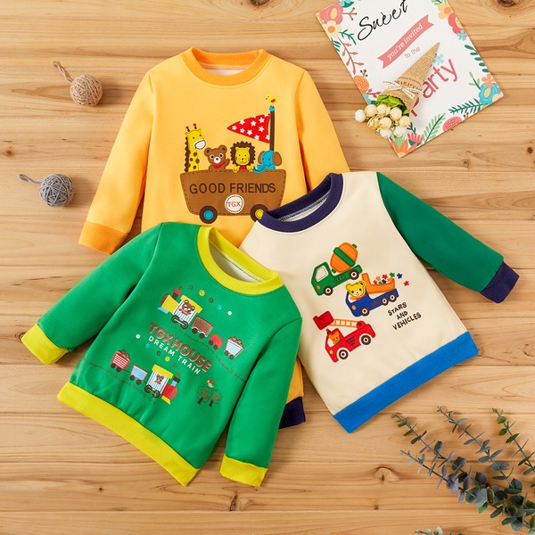 Baby Boy Casual Pullovers