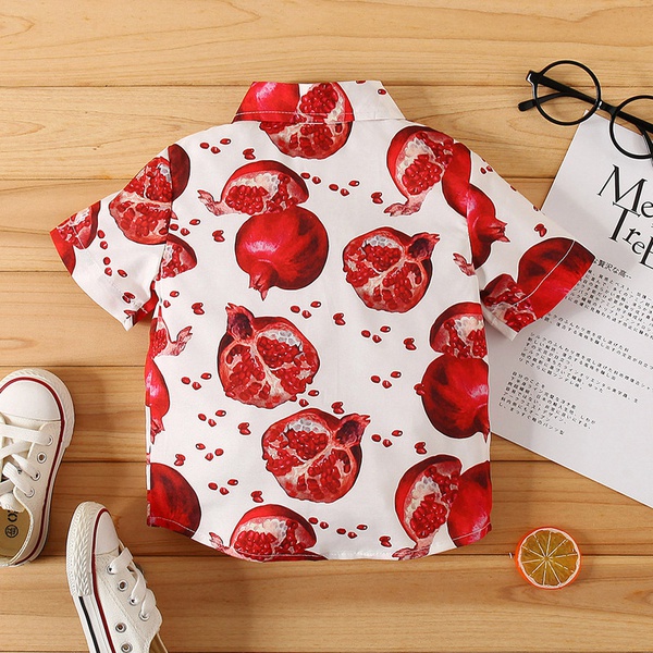 Baby / Toddler Boy Pomegranate Print Shirt