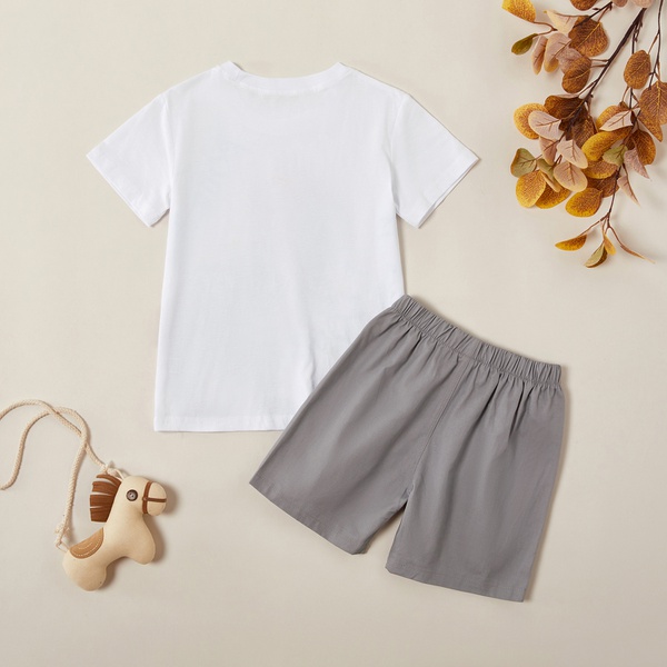 Trendy Dinosaur Print Tee and Solid Shorts Set