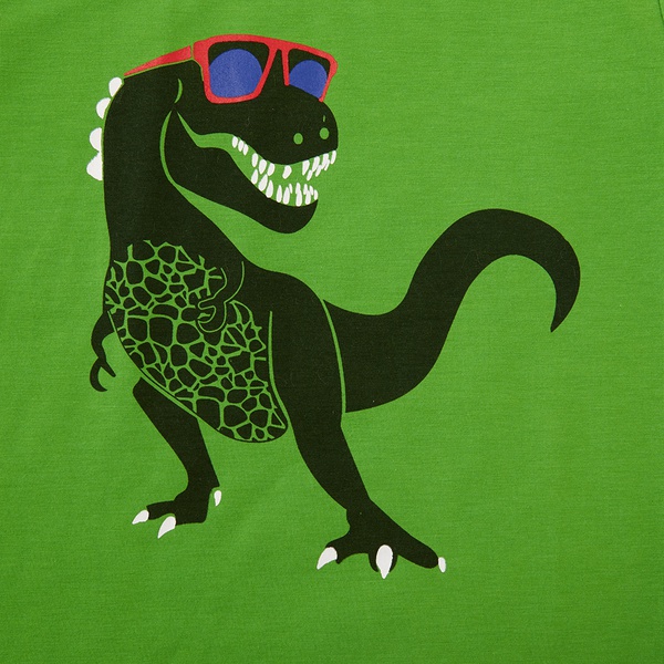 Trendy Dinosaur Print Tee and Allover Shorts Set