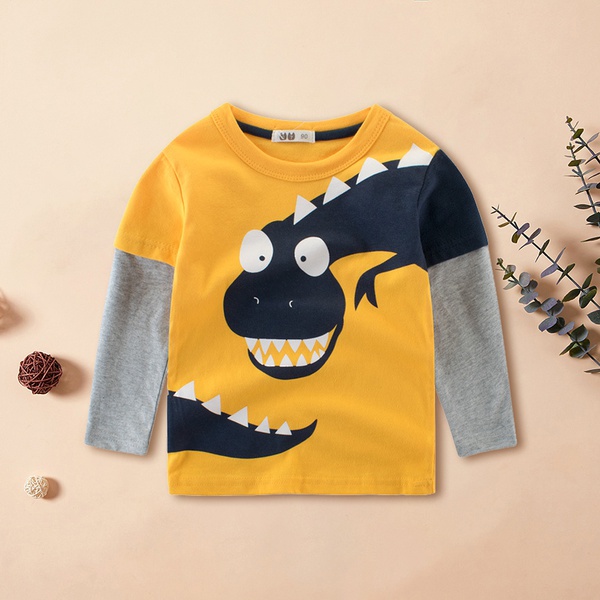 Colorblock Dinosaur Print Long-sleeve Tee For Boys