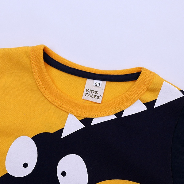 Colorblock Dinosaur Print Long-sleeve Tee For Boys