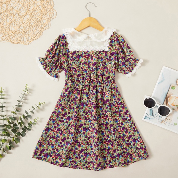 Beautiful Floral Allover Print Lace Collar Flare-sleeve Dress