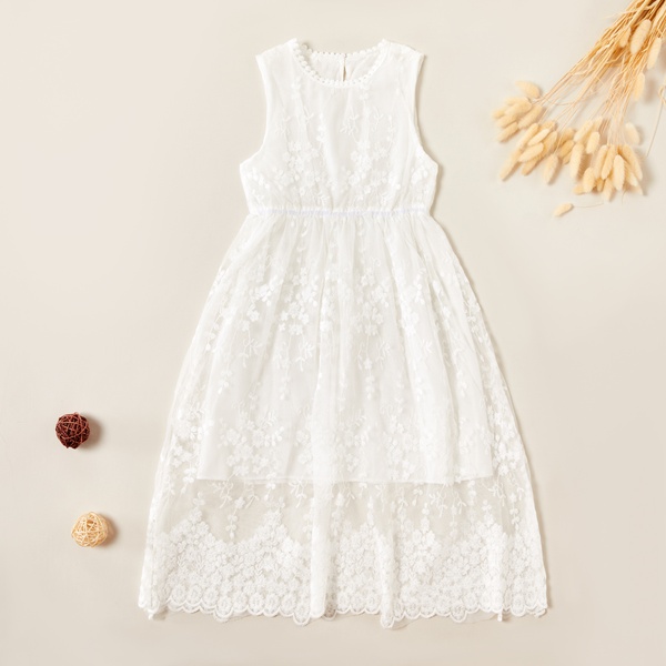 Beautiful Lace Embroidered Mesh Sleeveless Dress