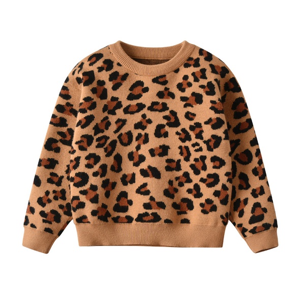 Stylish Leopard Print Sweater