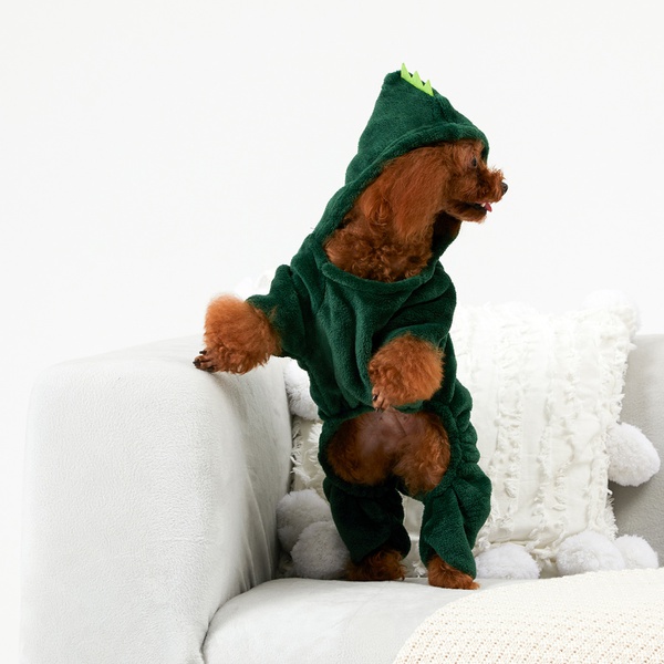 Pet Dinosaurs Transform Clothes
