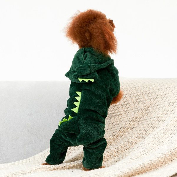Pet Dinosaurs Transform Clothes