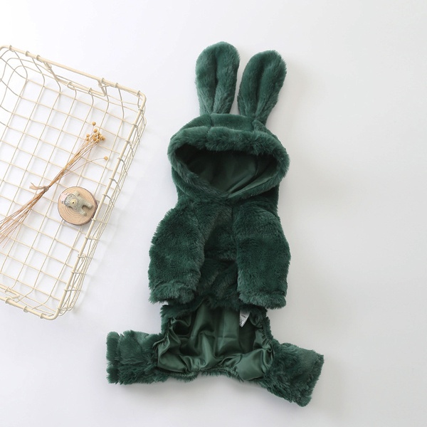 Pet Cute Rabbit Hoodie