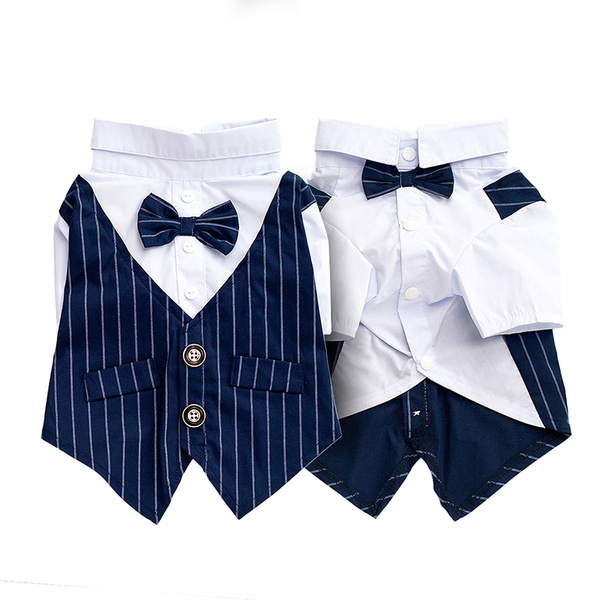 Small and medium-sized dog gentleman dress