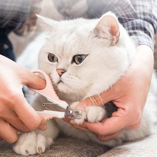 Grooming & Clippers