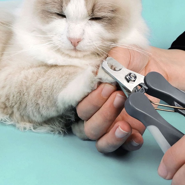 Nail Clipper for Cat Dog