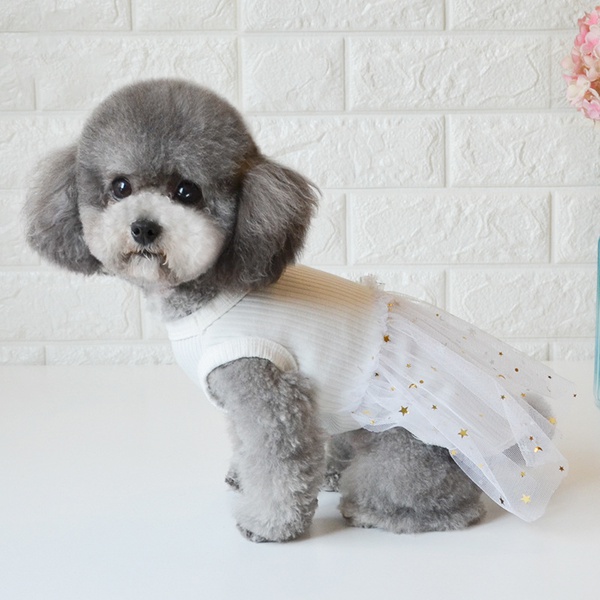 Pet Star Mesh Skirt