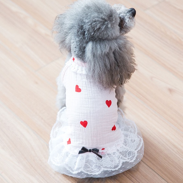 Sweet Pet Mesh Skirt