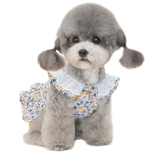 Pet Cute Floral Dress
