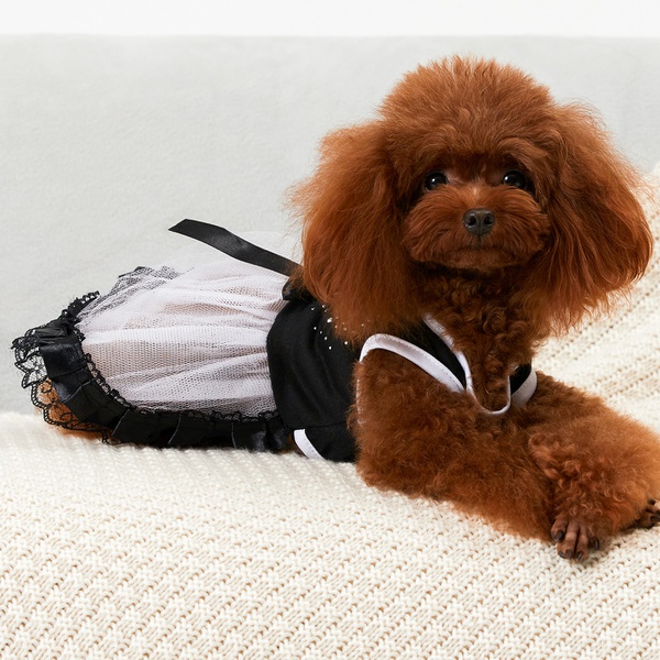 Cat & Dog Bow Lace Dress