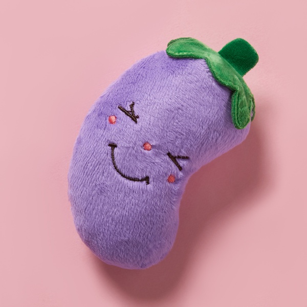 Pet Vocal Plush Toy