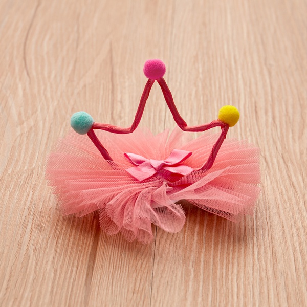 Pet hair accessories