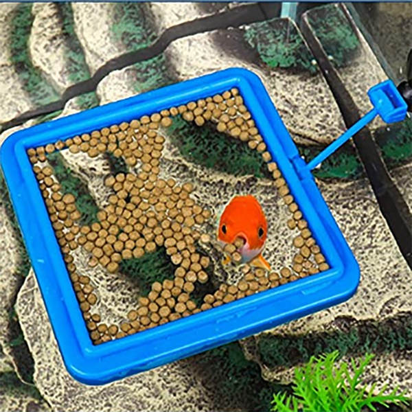 Buoyancy Feeder Aquarium Fish Food Feeder