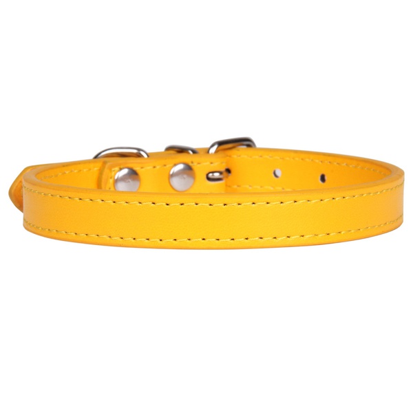 Large dog leash neck collar