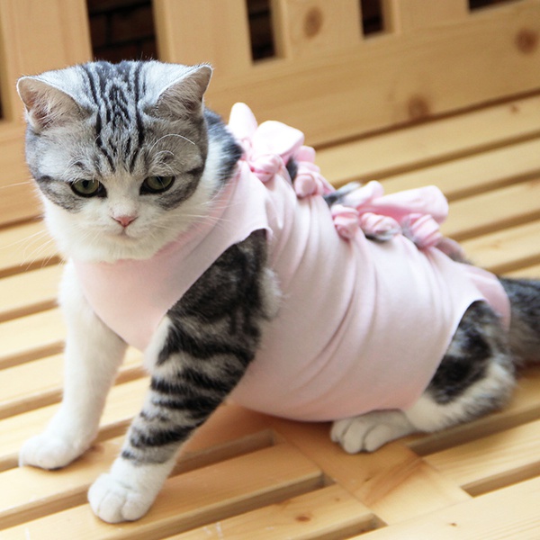 Anti-Lick Cat Recovery Suit, Cat Recovery Clothes After Surgical Sterilization, Cat Small Dog Neutering Clothes