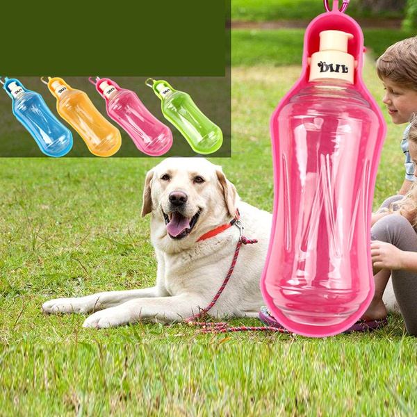 Pet Supplies
