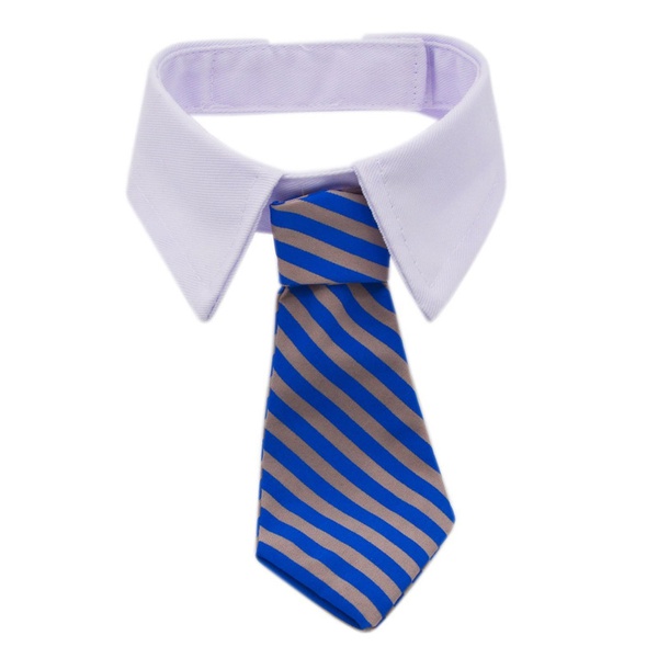 Pet summer tie