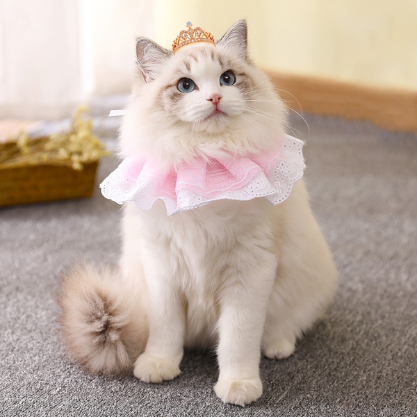 Cat and Dog Bow Tie Universal Saliva Towel