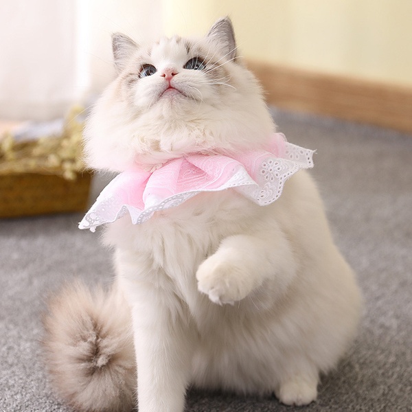 Cat and Dog Bow Tie Universal Saliva Towel