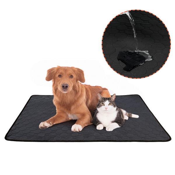 Pet Training Urine Pad