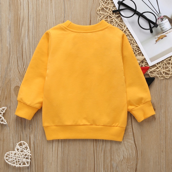 Baby / Toddler Adorable Dinosaur Print Pullover