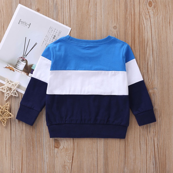 Baby / Toddler Fashion Colorblock Long-sleeve Pullover