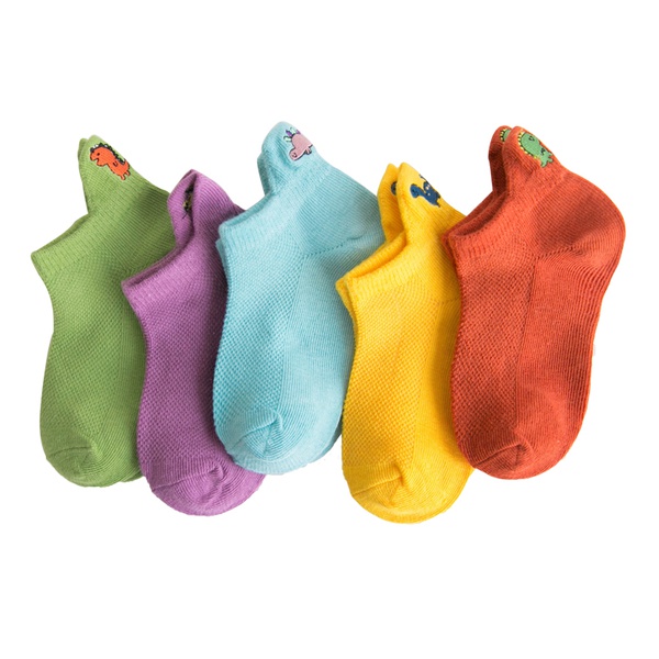 5-pack Toddler / Kid Adorable Dinosaur Embroidered Socks